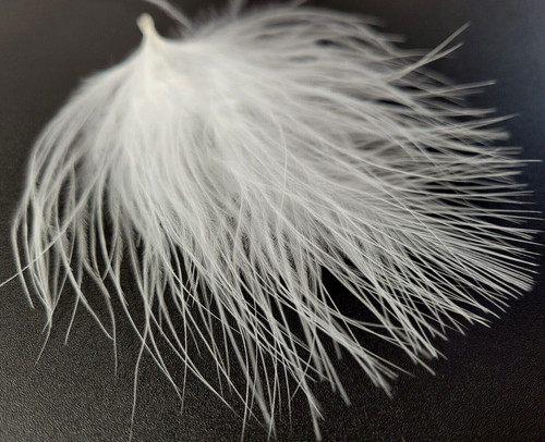 Marabou Blood Quills - Fly Tying Feathers - White - Woolly Bugger - 12 pc. New!