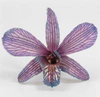 30 Violet Preserved Orchid Flowers 30 Violet Preserved Orchid Flowers