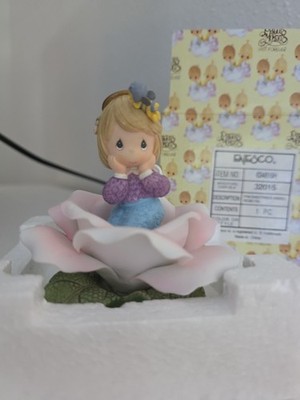 Sweetness Angel Rose Fig