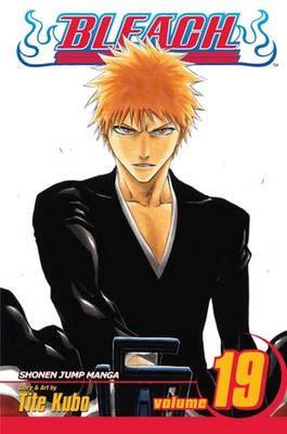 Tite Kubo | Bleach, Vol. 19 | Taschenbuch | Englisch (2008) | EAN 9781421510439