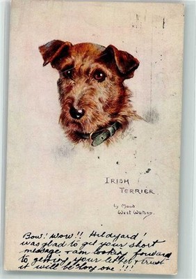 39611872 - sign. West Wabon Moud Oilette No. 9977 skizzenhafte Hundestudien