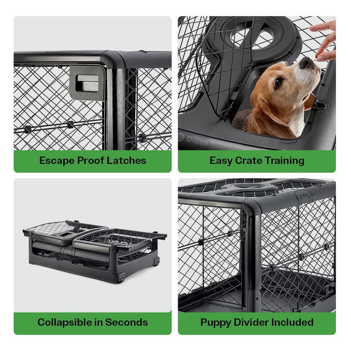How to Collapse Dog Crate: Easy Steps for Quick Storage