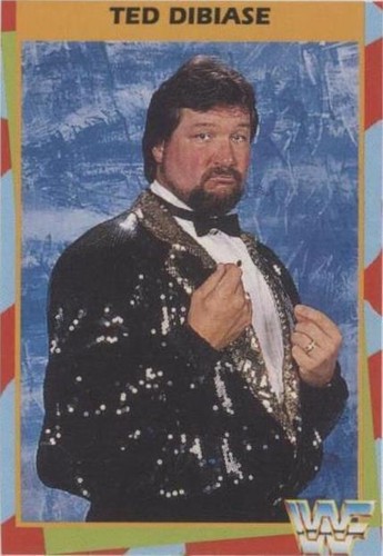 1989 Classic WWF #64 