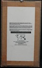 Heteropteryx Dilatata Mounted and Framed by "Bits & Bugs" Australia $125 value — photo 2