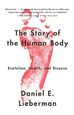 The Story of the Human Body: Evolution, Health, and Disease - paperback Lieb...
