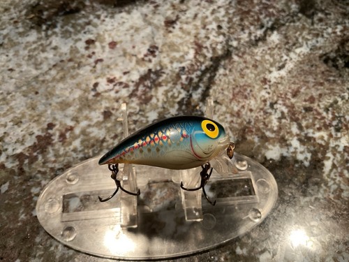 Storm Sub Wart Crankbait Lure, Shad/Shad SUBW04 260, New In Box - Foto 2