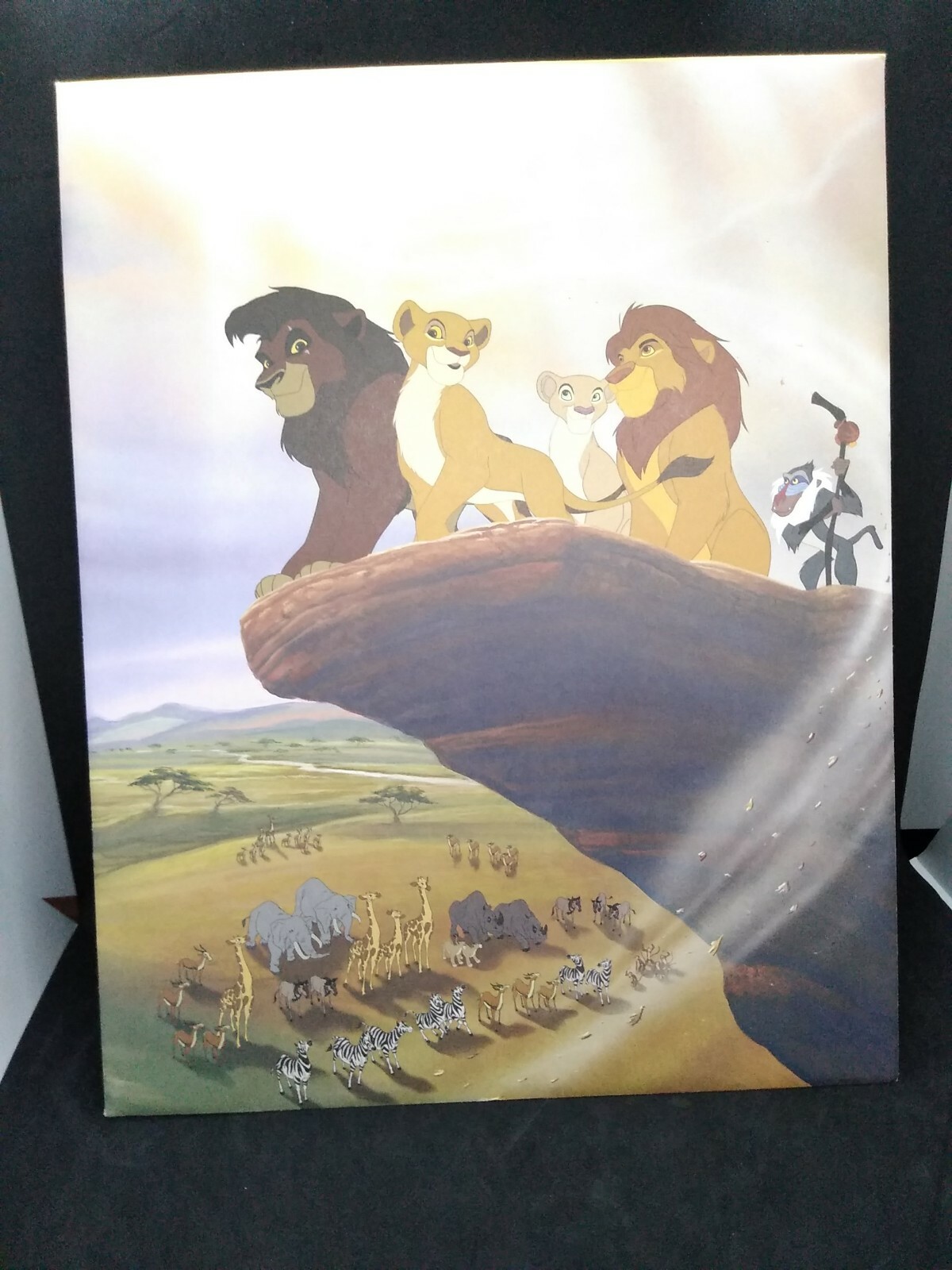 Picture 2 of 7