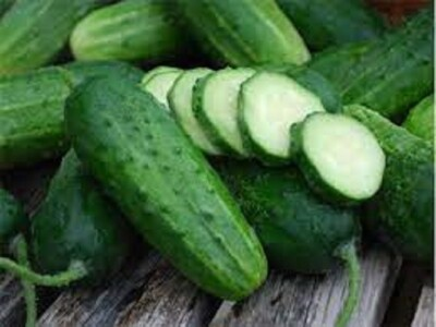 #ad Premium Boston Pickling Cucumber Fresh Heirloom Seeds Most Popular Variety $1.99