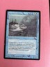 Giant Shark (NM) The Dark DRK Magic MTG