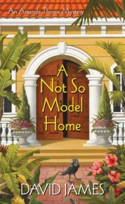 A Not So Model Home Paperback David James