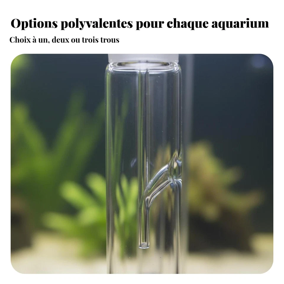Piège à Planaires Sans Produits Chimiques Attrape D'aquarium - Photo 1/4