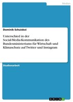 Dominik Schuiskoi | Unterschied In Der Social-Media-Kommunikation Des...