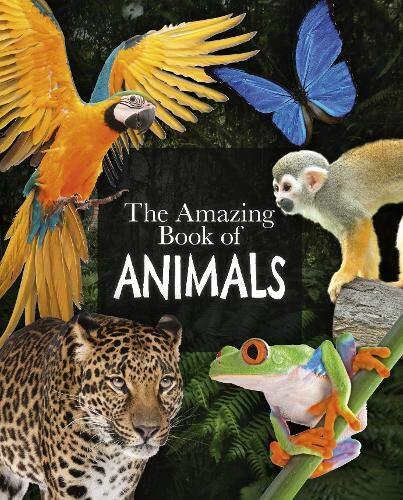 The Amazing Book of Animals (Amazing ... By Leach, Dr Michael,Lland, Dr Meriel, - Picture 1 of 1