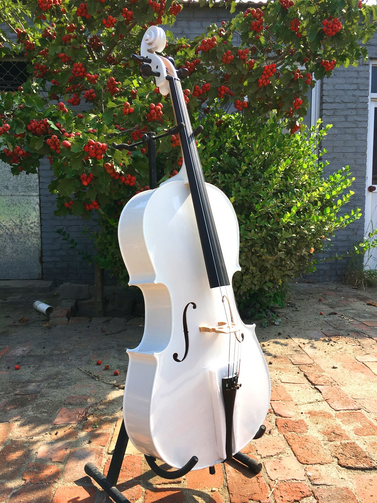 4/4 Cello Full Size White Maple spruce Hand made Cellos Ebony Fittings