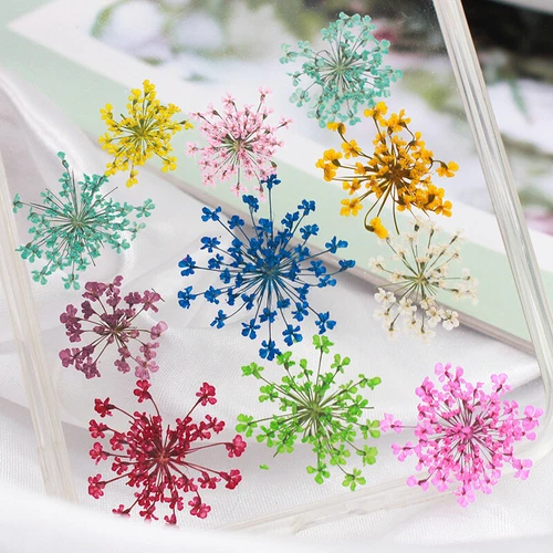 Dried Pressed Flowers Natural Epoxy Resin Candle Nail Art Scrapbooking Craft AU - Picture 12 of 210