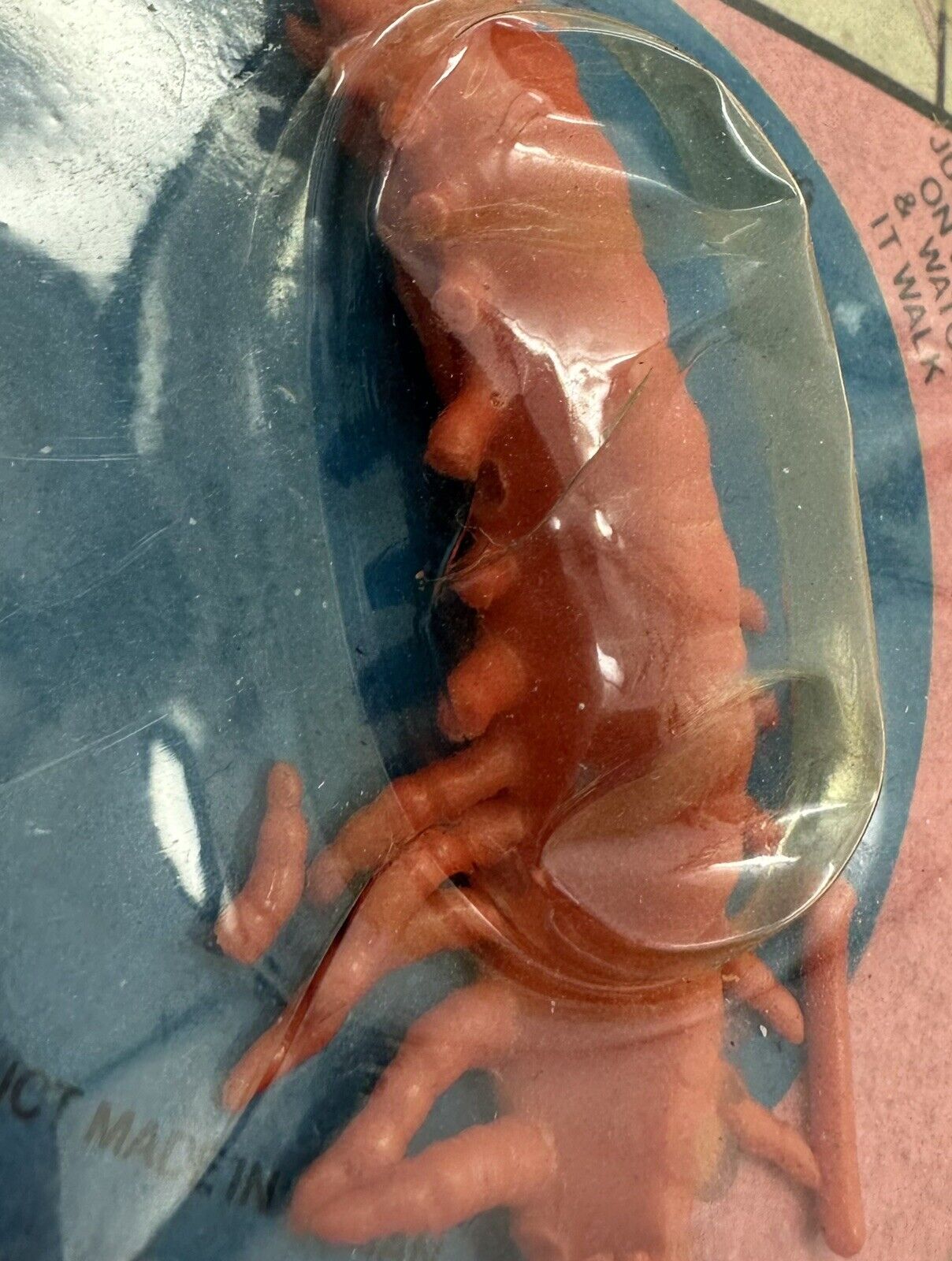 Picture 8 of 10