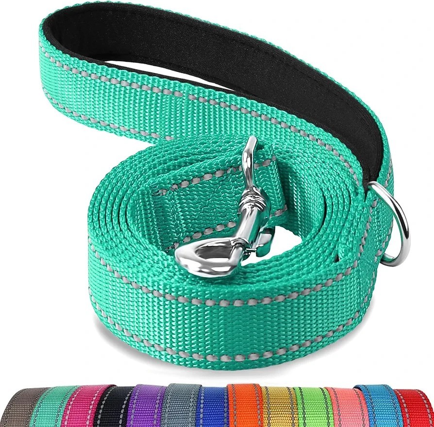 Joytale Padded Handle Dog Lead, Double-Sided Reflective Nylon Leads  - S/M Dogs