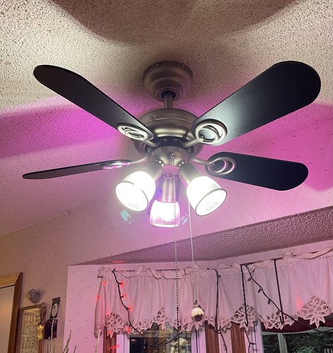 Hampton Bay 68353 San Marino 36 Inch Ceiling Fan Brushed