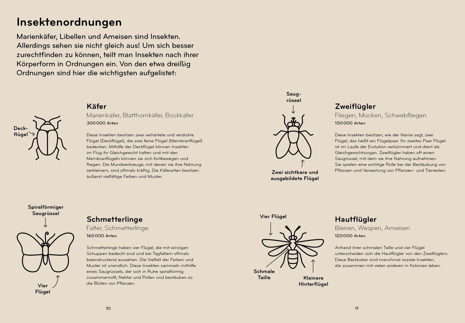 Thumbnail - Lisa Voisard | Insektorama | Buch | Deutsch (2023) | 224 S. | Helvetiq