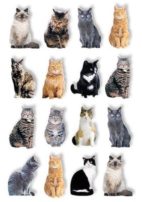 Crafts 3D Layered Stickers PH Mixed Cats Siamese Tabby Real Look