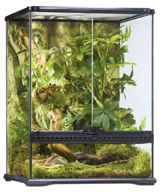Exo Terra Glass Terrarium 18 x 18 x 24Inch Reptile Zoo Med Natural
