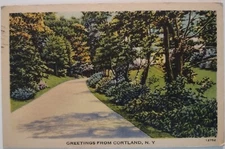 Vintage Postcard Greetings From Courtland New York