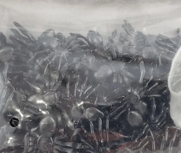 Lote de 2 confeti araña 3D Way To Celebrate Halloween 100 unidades Foto 2 de 3