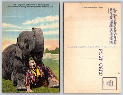 #ad Vintage Ringling Bros Circus Elephant and Clown Linen Postcard Sarasota FL $1.99