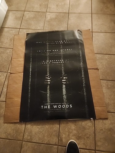 13x Filmplakate gebraucht Horror Poster doppelseitig Theater Videothek 27x40 - Bild 3 von 12