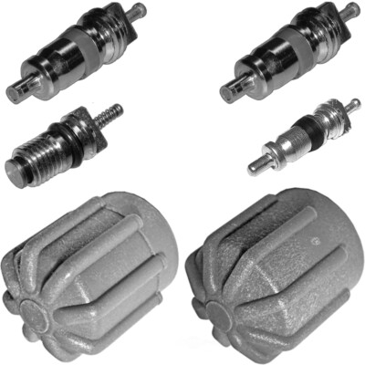 AC A/C System Cap & Valve Cores Santech Rapid Seal Kit Air Conditioning Service