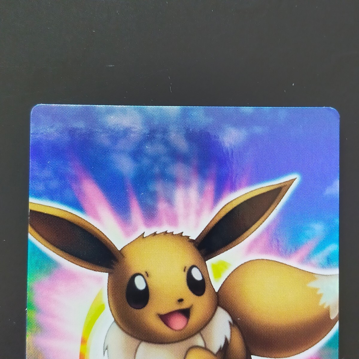 Eevee Holo ZUKAN Carddass Advance Generation Pokemon Card Japanese