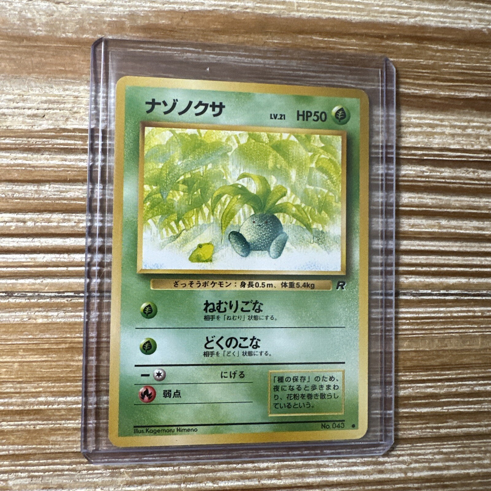 Pokemon Card Oddish Team Rocket Japanese No. 43 NM-Mint