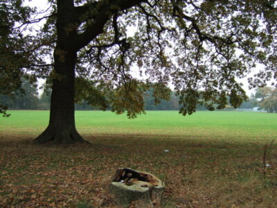 Foto 6x4 Blick aus den Bäumen zwischen zwei Schulen in Gaywood bei Ki c2009