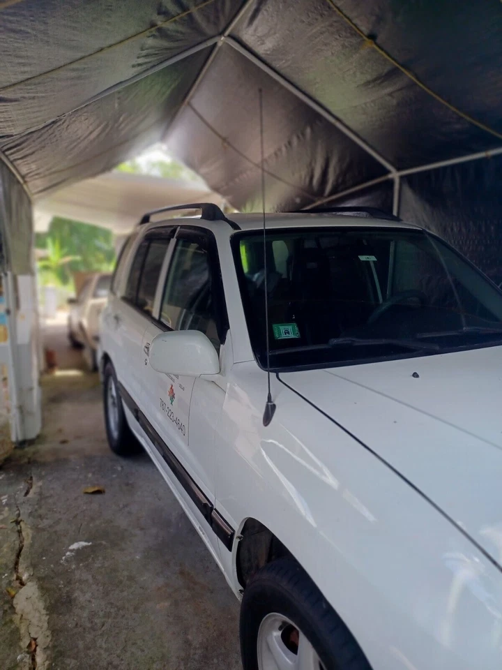 Mástil de antena negro 31" radio de alimentación para Suzuki Grand Vitara y Vitara 1999-2005 Foto 3 de 4