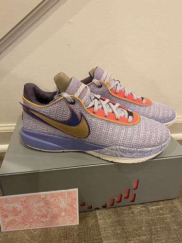 lebron xx frost