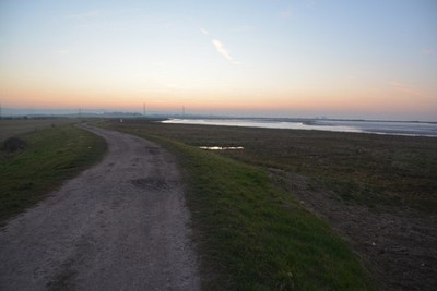 Photo A3 Sedgemoor : England Coast Path Pawlett Hill Looking along the E c2018