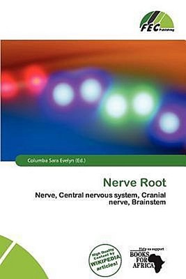 Nerve Root Columba Sara Evelyn