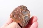 Timor Agate Lapidary Cabbing 2 lb five piece rough lot #TM2 — photo 4