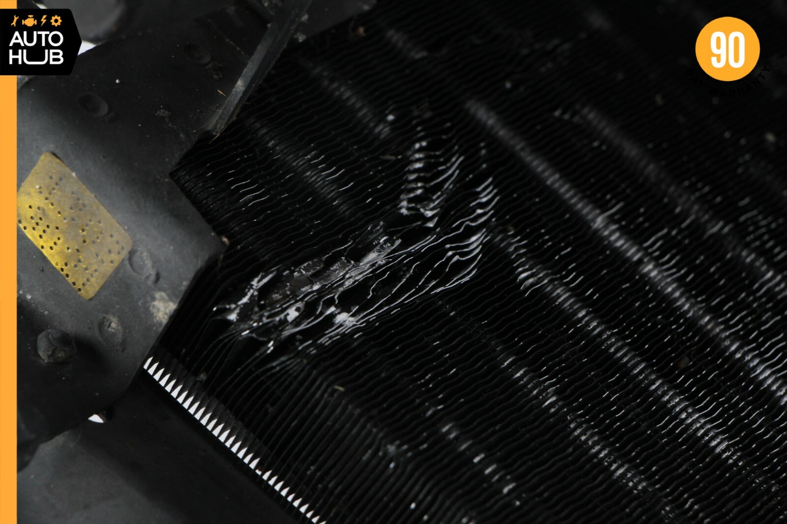 Picture 11 of 12