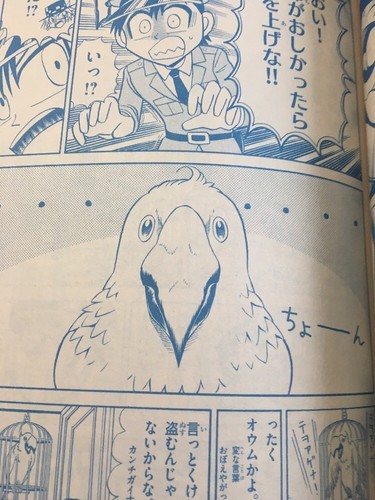shogakukan manga Japanese Language Anime 2011 No. 403 - Picture 4 of 4