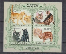 F553. Mozambique - MNH - 2013 - Fauna - Animals - Pets - Cats