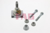 Schaeffler FAG Spurstangenkopf Gelenkkopf 825 0093 10 FüR 450 Smart City Fortwo