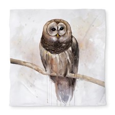 Barred Owl Beige Rustic Queen Size Duvet Cover for Living Room C1DCQSW0O3NC6I