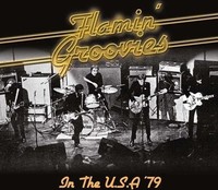 Audio Cd - Flamin' Groovies - In The Usa '79 - Echoes -D- Neu