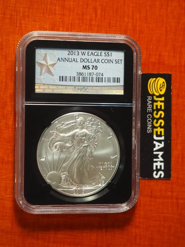 2013 W BURNISHED SILVER EAGLE NGC MS70 FROM ANNUAL DOLLAR COIN SET STAR LABEL