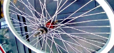 Wheels & Wheelsets - Alex Rims - Nelo's Cycles