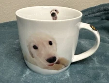 Hana Deka Club Yoneo Morita 2005 Puppy Dog Golden Labrador Coffee Cocoa Mug Cup