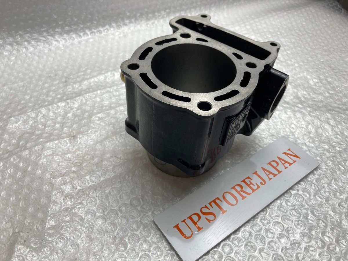 2012 - 2024 GENUINE KAWASAKI BRUTE FORCE 300 ENGINE CYLINDER
