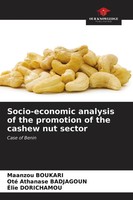 Maanzou Boukari (U. A.) | Socio-Economic Analysis Of The Promotion Of The...