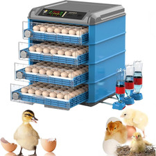 500 Uova NCUBATRICE PROFESSIONALE CON ROTAZIINE AUTOMATICA DELLE UOVA E UMIDITA